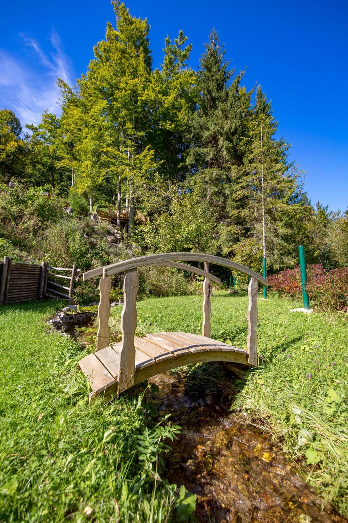 Forest Tale - Sumska Prica Crni Lug Luaran gambar